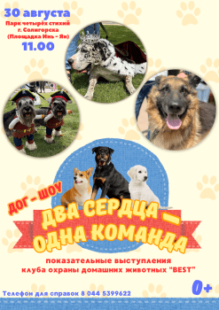 Как Солигорск отметит День города и День шахтера. Собрали все афиши мероприятий