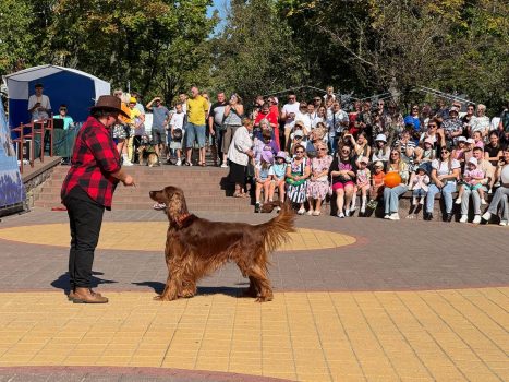 Дог - шоу «Два сердца - одна команда» пройдет в Солигорске
