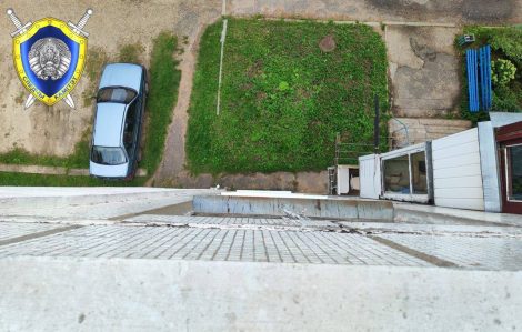 В Поставах женщина выкинула своего кота с пятого этажа, возбуждено уголовное дело