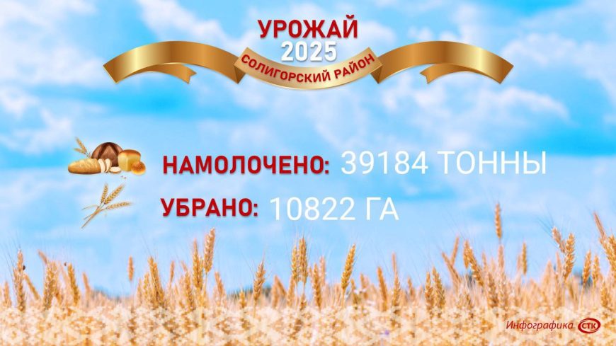 Битва за урожай продолжается, на 11 августа актуальные цифры по уборке культур на Солигорщине