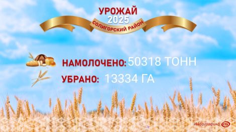 Сводка работ в полях 14 августа