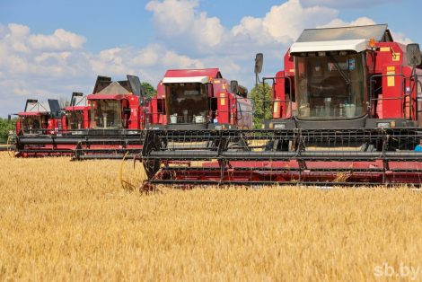 Аграрии Минской области намолотили 2 миллиона тонн зерна с учетом рапса