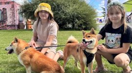 Чем удивляют на Кургане Славы? Фоторепортаж