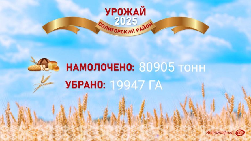 Уборочная продолжается! Актуальные цифры по Солигорскому району на 27.08.2025