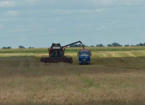 Уборочная продолжается, актуальные цифры на 28 августа