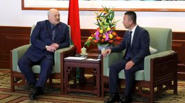 Лукашенко предлагает Китаю строить в Беларуси тепличные комплексы для выращивания овощей и цветов