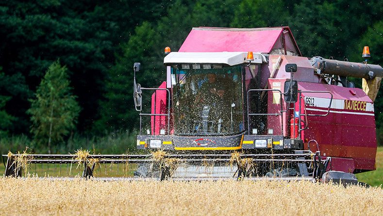 Белорусские аграрии намолотили 9 млн тонн зерна вместе с рапсом!