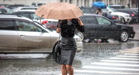 Правила поведения на дороге осенью. Рекомендации от ГАИ