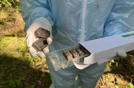 Внимание! В Минской области проводится иммунизация от бешенства диких животных