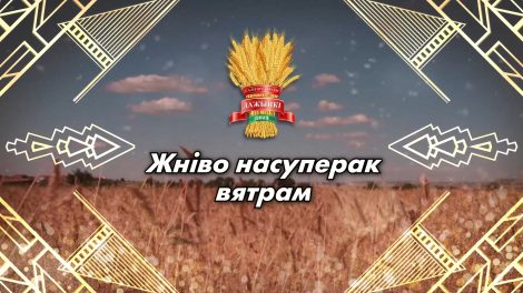 Специальный проект к районному празднику "Дожинки