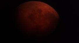 Жители Солигорского района наблюдали лунное затмение. Фоторепортаж в объективе СТК