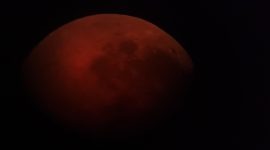 Жители Солигорского района наблюдали лунное затмение. Фоторепортаж в объективе СТК