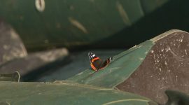 Надежный щит и гордость Родины: сегодня в Беларуси отмечается День танкистов. Побывали в легендарных Печах