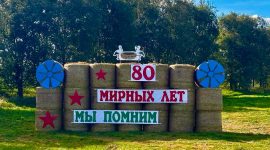 Замок, танк, крот. Какими еще соломенными композициями удивляет Солигорский район?