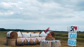 Замок, танк, крот. Какими еще соломенными композициями удивляет Солигорский район?