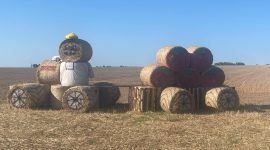 Замок, танк, крот. Какими еще соломенными композициями удивляет Солигорский район?