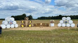 Замок, танк, крот. Какими еще соломенными композициями удивляет Солигорский район?