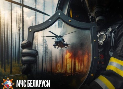 «Зелёный щит». В Солигорском районе пройдет специальное профилактическое мероприятие