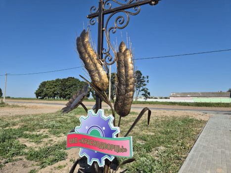 Кривичане присоединятся к работам по строительству нового парка