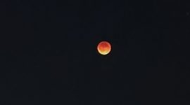 Жители Солигорского района наблюдали лунное затмение. Фоторепортаж в объективе СТК