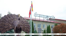 Тренды птицеводства. Лукашенко собрал в Солигорске совещание по развитию отрасли