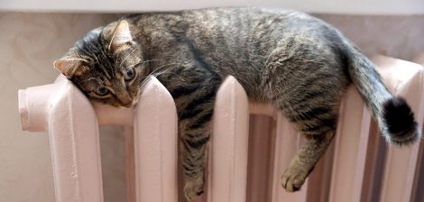 Почему в некоторых домах Солигорска все еще нет отопления? И когда будет?