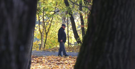 "Возрастные" доплаты к пенсиям увеличатся с 1 ноября в Беларуси