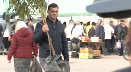 Осенняя региональная ярмарка в Солигорске: большой выбор овощей и саженцев