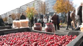 Осенняя региональная ярмарка в Солигорске