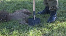 Как в Солигорске прошел Единый день озеленения?