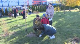 Как в Солигорске прошел Единый день озеленения