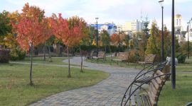 Как в Солигорске прошел Единый день озеленения?