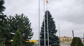 В республиканском субботнике приняли участие тысячи солигорчан. Как проходит акция чистоты?