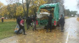 Молодежь вышла на субботник! Работы ведутся в парке Четырех стихий