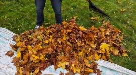 Молодежь вышла на субботник! Работы ведутся в парке Четырех стихий