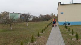 В республиканском субботнике приняли участие тысячи солигорчан. Как проходит акция чистоты?