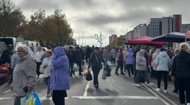 Осенняя региональная ярмарка в Солигорске: большой выбор овощей и саженцев