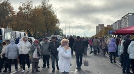 Осенняя региональная ярмарка в Солигорске: большой выбор овощей и саженцев