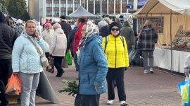 Осенняя региональная ярмарка в Солигорске: большой выбор овощей и саженцев