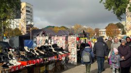 Осенняя региональная ярмарка в Солигорске: большой выбор овощей и саженцев