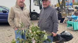 Осенняя региональная ярмарка в Солигорске: большой выбор овощей и саженцев