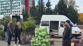 Осенняя региональная ярмарка в Солигорске: большой выбор овощей и саженцев