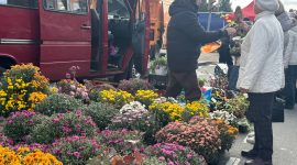 Осенняя региональная ярмарка в Солигорске: большой выбор овощей и саженцев