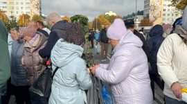 Осенняя региональная ярмарка в Солигорске: большой выбор овощей и саженцев