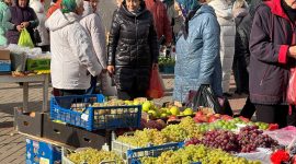 Осенняя региональная ярмарка в Солигорске: большой выбор овощей и саженцев
