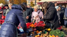 Осенняя региональная ярмарка в Солигорске: большой выбор овощей и саженцев