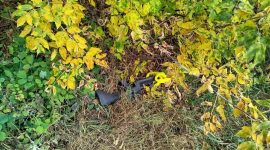 Сначала выпивали вместе, а потом решил обокрасть: солигорчанин похитил винтовку у знакомого