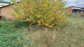 Сначала выпивали вместе, а потом решил обокрасть: солигорчанин похитил винтовку у знакомого