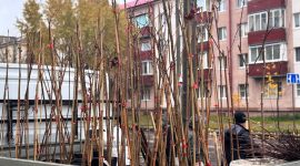 Павел Пархоменко: дождик нам совсем не помеха! Мы делаем наш город краше!