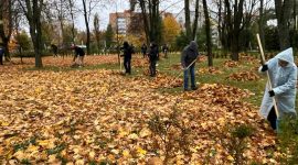 Республиканский субботник проходит в Солигорске. Работы ведутся в сквере «Молодость»